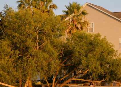 Hurricane Season in South Carolina: Decoding Your Homeowners' Insurance for Wind, Flood, and Deductibles